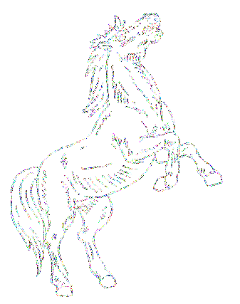 superbe cheval !