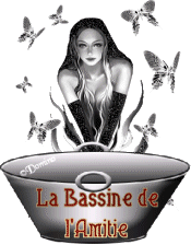 la bassine de l'amitié